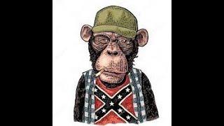 Confederate Monkey Charge (War Of Rights)