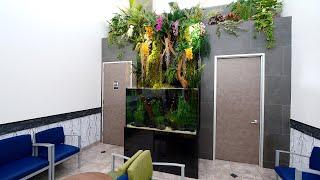 Paludarium: Reception Area Project