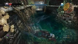 Witcher 3 Find the Gate Key in Herbarium Underwater Cave