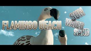 Flamingo Beach Ras Al Khaimah | United Arab Emirates | Travel Video