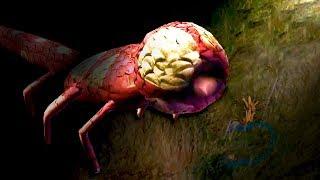 3 Scientifically Impossible Creatures Engineered In Species Artificial Life Real Evolution ALRE