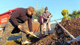 77 YEARS OLD, HE WORKS ON 30 DECARES OF OLIVE GROVES ON HIS OWN AND REJUVENATES VILLAGE LIFE