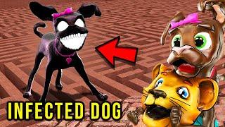 If You See INFECTED DOG in a Maze... RUN AWAY FAST!