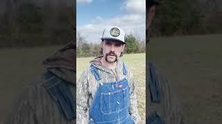 Easiest Food Plot