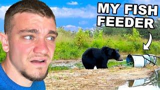 We Have Black Bear Problems at My Pond!