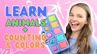 Learn Animals, Counting, and Colors | Best Toddler Learning Video | Learn to Talk | Learn English