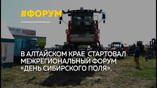 В Алтайском крае проходит форум "День сибирского поля – 2024"