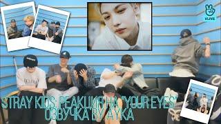 [Русская озвучка by Ayka] Stray Kids | Трансляция "Привет STAY" и реакция на клип "Your Eyes"