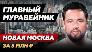 НЕ ПОКУПАЙТЕ ЗДЕСЬ КВАРТИРУ // Новая Москва - полный обзор 2024