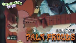 palm fronds - full set - live at gothard studios