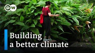 Floods, heavy rain, extreme weather - Why we need to build differently | DW Documentary