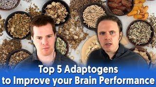 Top 5 Adaptogens to Improve your Brain Performance | Podcast #272