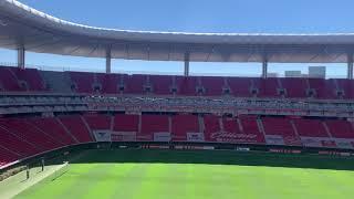 Vista desde el palco estadio Akron