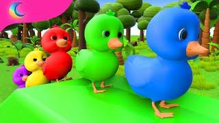 Five Little Ducks | Kids Songs | BluLoo Nursery Rhymes & Kids Songs