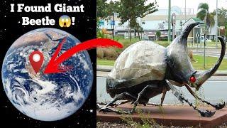 I Found Giant Beetle 🪲 on google maps and google earth  #maps #earth #hrgoogleearth