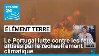 Le Portugal en lutte contre les feux attisés par le réchauffement climatique • FRANCE 24