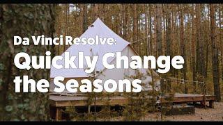 Keying with the Qualifier Tool to CHANGE THE SEASONS | DaVinci Resolve