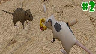 Mouse Simulator : Rat Rodent Animal Life - Raise a Family - Gameplay Episode 2