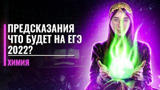 Что будет на ЕГЭ 2022 по химии? Предсказания | Катя Строганова