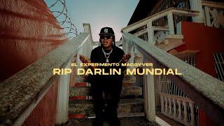 RIP DARLIN MUNDIAL ️( PUÑAL ) - El Experimento  (Video Oficial)