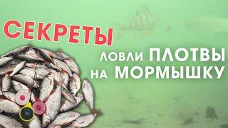 СЕКРЕТЫ ловли плотвы зимой на мормышку со льда