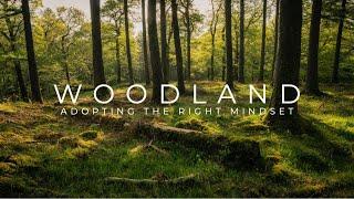 Woodland Photography - A Valuable Lesson for All Landscape Photographers