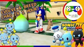 A Quick Guide to Chao Evolution & Breeding | Sonic Adventure DX (GCN)