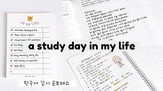 a productive korean study day in my life: writing essay, practice speaking