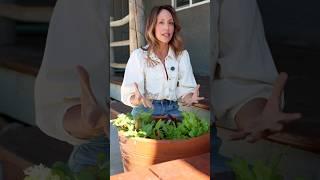 Get Your Garden Growing - 5 Quick Crops to Harvest FAST 