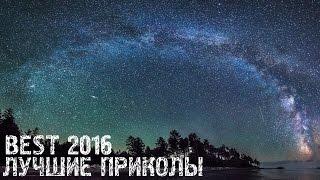 Лучшие приколы [ Лучшее в Coub ]#Coub года (BEST 2016)