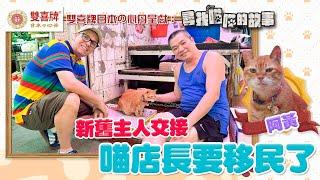 雙喜牌日本の心丹  呈獻：尋找喵喵的故事 ｜EP23 PT1｜ 喵店長要移民了  ｜ 阿黃 ｜ HOYTV