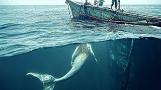 Fisherman Captured on Camera SOMETHING That Shocked the World!