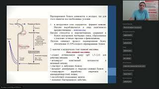 20.09.22 Школа практикум в помощь фельдшеру лаборанту Современные методы исследования белкового