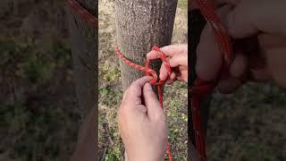 The Best Knot for Camping!