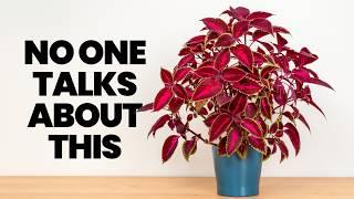 This ONE Thing Changed How My Plants Grow (And No One Talks About It)