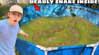 I Found an Abandoned Pond INFESTED with Deadly Snakes!