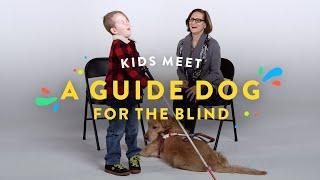 Kids Meet a Guide Dog for the Blind | Kids Meet | HiHo