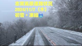 【最新】志賀高原道路状況2024/11/7（木）気温−3℃