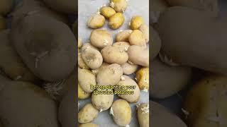 #garden #gardeningtips #gardening #plants #plant #planting #farming #potato #potatoes #gardening101