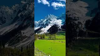 Sonamarg in the month of may #jktourism #photography #kashmir #srinagar #aruvalley  #sonamarg