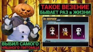 ААА!! ТАКОЕ ВЕЗЕНИЕ БЫВАЕТ РАЗ В ЖИЗНИ!! ВЫБИЛ САМЫХ НЯШНЫХ ПИТОМЦЕВ В PUBG MOBILE!! КУНГ ФУ ПАНДА!!