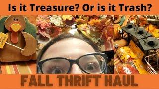 Treasure or Trash? • Thrift Haul #2 • Decor, Clothes and More!!