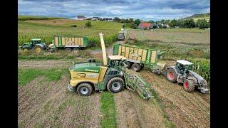 Maisernte '24 • Krone BIG X780 / John Deere 7920 • 5x Abfahrer • John Deere & Fendt • Landtechnik