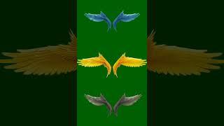 Birds Winks VFX In Video Edit #picsart #vfx
