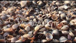 MEDUZA TEAM