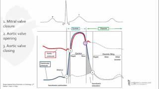 Left Ventricular Pressure-Time Curve