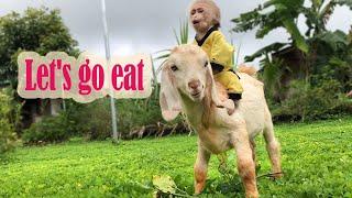 Super Smart ! Farmer Bon Takes the Goat to Graze Instead of His Father