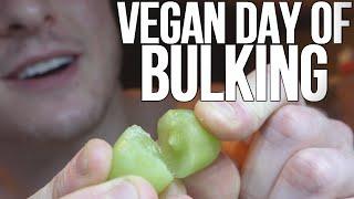 Vegan Bodybuilder Day of Bulking: Surviving the Heat!