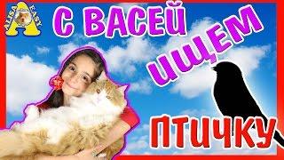 ВСЯ ПРАВДА О НОВОМ ПИТОМЦЕ / КТО УГАДАЛ ПИТОМЦА? / КОГО НАШЕЛ ВАСЯ? / Я АЛИСА ИЗИ