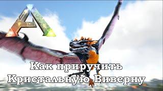 ARK Survival Evolved Crystal Isles - Как приручить Кристальную Виверну